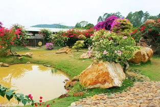 佛山 秋游盈香生態(tài)園 邊玩邊學(xué)長見識(shí)