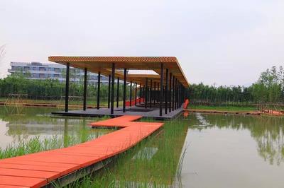 今天蘭溪揚子江生態公園正式開園_項目