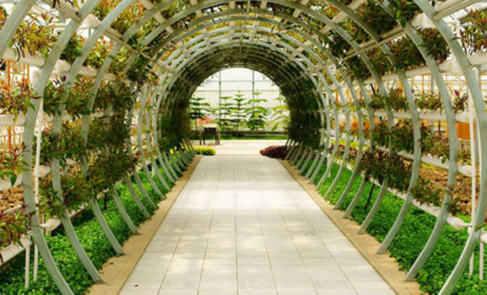 國鴻生態園 南昌市郊的放松休閑勝地(2)