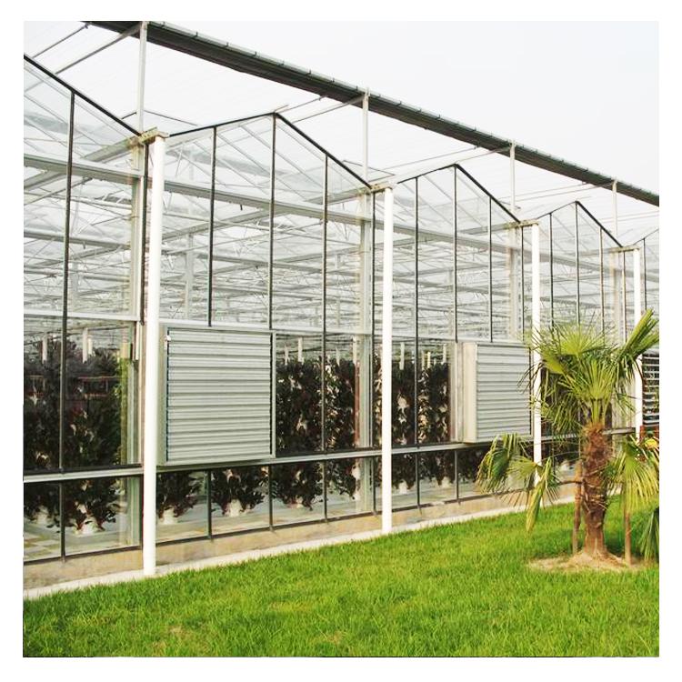 陽(yáng)板溫室建設(shè)觀光生態(tài)園溫室建造玻璃智能溫室建設(shè)安陽(yáng)鑫海溫室建造最專業(yè)圖片_高清圖_細(xì)節(jié)圖