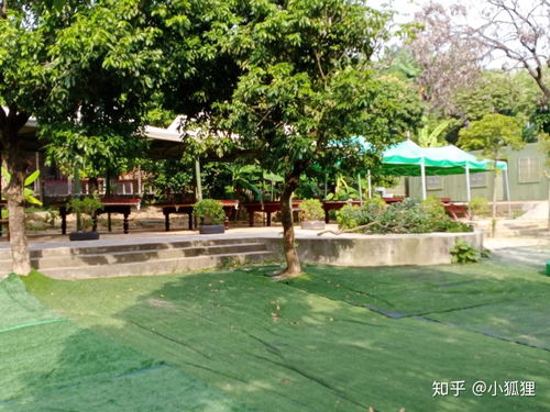 東莞萬(wàn)荔生態(tài)園 企業(yè)團(tuán)建年會(huì)與休閑游玩的理想去處