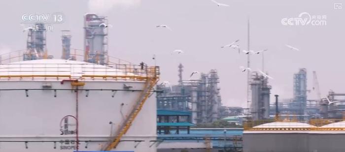 煉化工廠成鳥(niǎo)兒新“家” “綠色工廠”盡顯工業(yè)之美與生態(tài)和諧