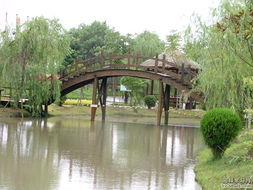 昆山生態園的木橋 連接自然與人文的詩意紐帶