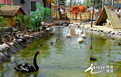 助力冬奧丨華北奕豐生態(tài)園戲雪樂園即將開園，生態(tài)旅游與冰雪運(yùn)動(dòng)完美融合