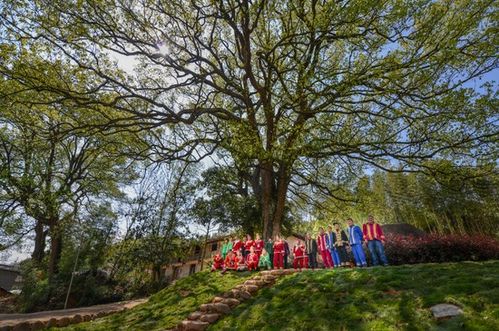 浙江擘畫詩路文化新藍(lán)圖 九市聯(lián)動(dòng)，生態(tài)為基，打造中華文脈傳承創(chuàng)新帶