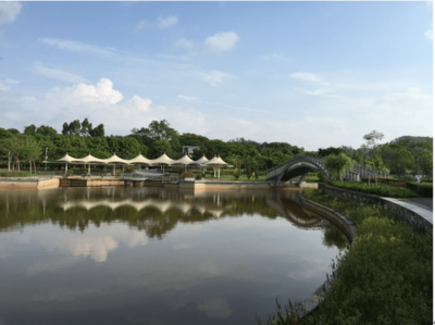 東進(jìn)下的坪山，你還認(rèn)識(shí)嗎？探秘生態(tài)園新篇