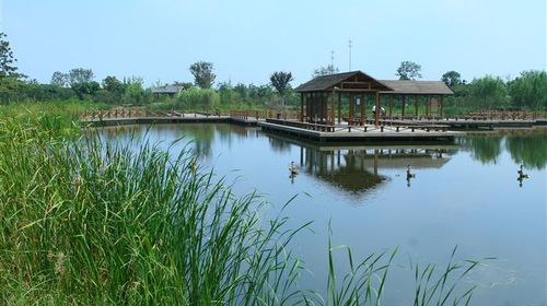 國(guó)慶樂游 上海出發(fā)，千燈古鎮(zhèn)與大唐生態(tài)園一日探幽之旅